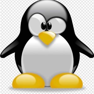 Meet your Posher, Harry